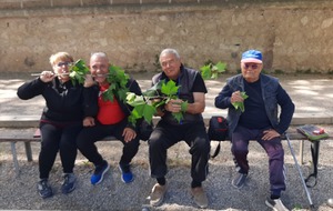 CDC vétérans. open. féminins.