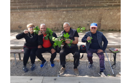 CDC vétérans. open. féminins.